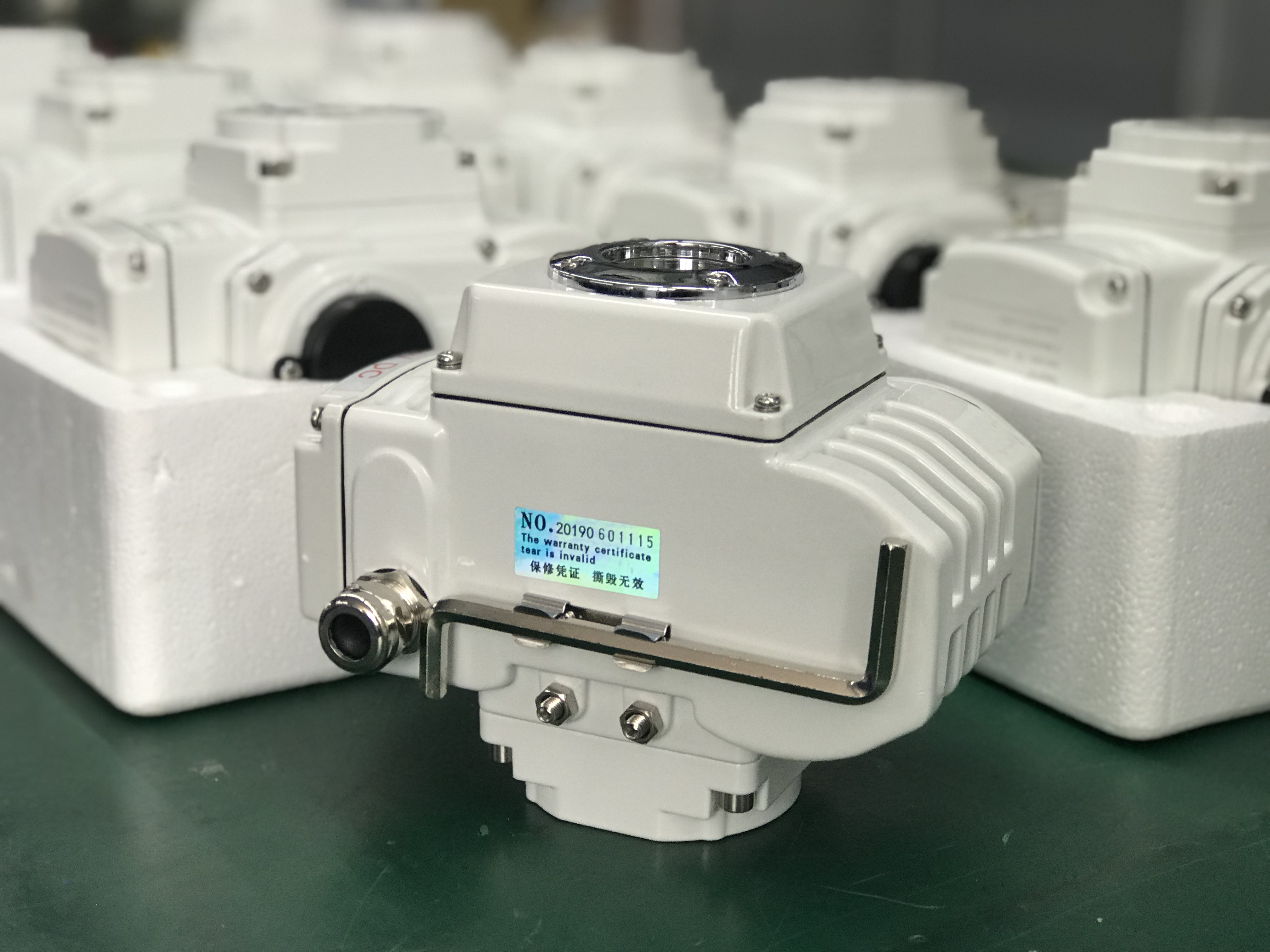 1636360362373240.jpg 電動執(zhí)行器 (6).JPG