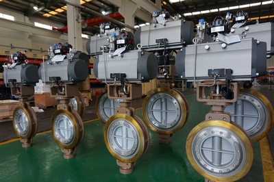 三偏心蝶閥 三偏心蝶閥