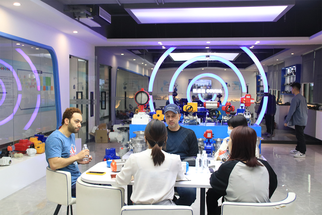 國(guó)外客戶拜訪科威納